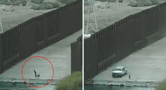 Rescatan a niño de 1 año tras ser abandonado por un contrabandista en la frontera de EE. UU. y México