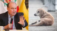 Rafael López Aliaga anuncia inauguración de veterinarias solidarias en los clubes zonales de Lima