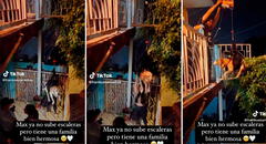 Video muestra cómo familia crea un arnés para ayudar a subir a su perro