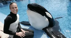 El trágico caso de la entrenadora que fue asesinada por la orca que adiestró durante varios años