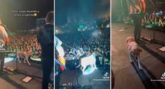 ¡La estrella del concierto! Perro sube al escenario de la banda Los Auténticos Decadentes y enternece al público