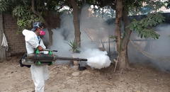 Se incrementan las cifras de contagios en el norte por dengue
