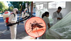 Argentina registra al menos 35 muertos y más de 41.000 infectados por dengue