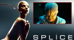 “Splice” aterró a miles en 2009 y casi tuvo secuela: ¿por qué no se hizo y de qué pudo tratar?