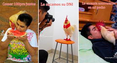 Joven tiktoker explica cómo es tener un gallo mascota: “Qué hermoso”