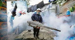 El azote del dengue