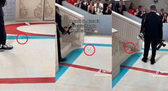 Met Gala 2023: cucaracha pasa por la alfombra roja y es fotografiada por los asistentes