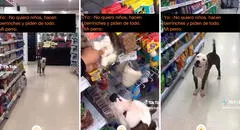 Perro ladra a su dueño para que le compre su juguete favorito: "Es un hijo más"