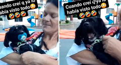 Perrito llora cuando su ama le saca el chupón de la boca y enternece en redes sociales :”Morí de amor”