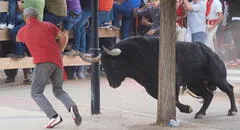 Carnicero murió corneado por un toro: pensó que estaba muerto tras ser inmovilizado en corrida