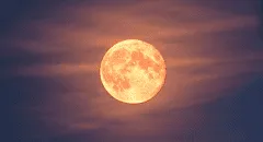 Eclipse lunar HOY, EN VIVO: a qué hora y cómo ver el eclipse de la luna de flores