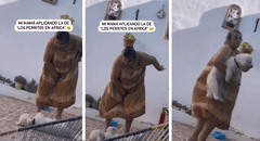 Madre sorprende al 'regañar' a su perrito por no querer comer: "Esa la aplico yo también"