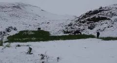 Nevada en Cusco: alerta roja en las 13 provincias por precipitaciones de nieve y lluvias