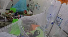 Dengue sigue causando más muertes en Lambayeque y La Libertad