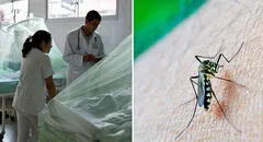Dengue en Perú: ya son más de 69.000 casos y 73 personas fallecidas