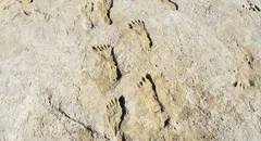 Humanos poblaron América 10.000 años antes de lo que se creía, sugiere estudio