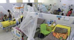 Emergencia nacional: dengue avanza sin control y van 74 muertos en el país