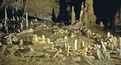 Así es la construcción más antigua del mundo: fue hecha por neandertales hace 176.000 años