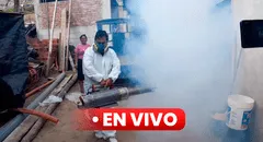 Dengue en Perú EN VIVO: ¿cuáles son las regiones con más contagios, según el Minsa?