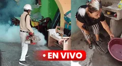 Dengue en Perú EN VIVO: últimas noticias, número de casos, fallecidos y más sobre alerta sanitaria