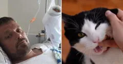 El dramático caso de Henrik: ¿cómo la mordedura de su gato le quitó la vida tras 4 años?
