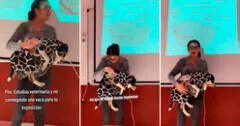 Estudiante de veterinaria lleva a su perrita para que la ayude en su exposición: "Todo por las croquetas"