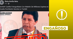 Pedro Castillo: no hay evidencia de foto portando “maletín con millones”
