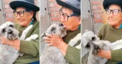 Adulta mayor rompe en llanto al reencontrarse con su perrito y enternece en TikTok: “Es lo más bello”