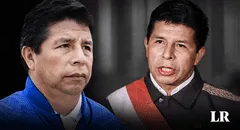 Pedro Castillo: ¿realmente una acción de amparo puede anular su vacancia presidencial?