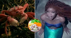 "La sirenita" hizo referencia culinaria al Perú: Sebastian casi se vuelve ceviche de cangrejo