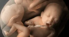 ¿Qué pasó con los bebés editados genéticamente en China?