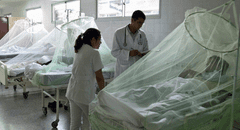 Dengue en Piura: 5 equipos de médicos de diferentes regiones llegarán para tratar a pacientes