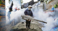Dengue en Piura: multarán a dueños de casas que eviten la fumigación
