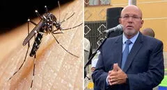 Surco: municipalidad declara al distrito en emergencia sanitaria por aumento de casos de dengue