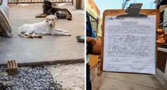 Bellavista: sancionan a vecina con más de 2.000 soles por tener dos mascotas en malas condiciones