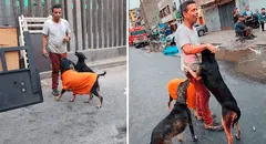 Cercado de Lima: rescatan más de 20 perros durante incendio en almacén