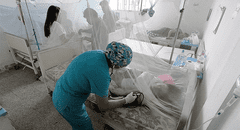 El 30% de pacientes con  dengue son niños y adolescentes