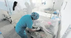 Dengue: el 30% de pacientes son niños y adolescentes