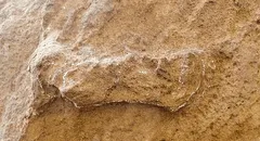 Encuentran la huella humana más antigua en el mundo