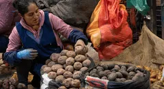Día del Campesino: estos son los platos típicos que puedes preparar este 24 de junio