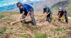 FRASES por el Día del Campesino: mensajes y poesías para compartir este 24 de junio