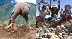 ¿Será feriado el Día del Campesino en Perú?