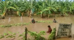 Agricultores de Piura piden créditos para cultivar tierras que fueron afectados por fenómeno El Niño
