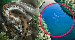Yacumama: ¿cuál es el origen de esta leyenda y por qué pobladores de la selva afirman que sí existe?