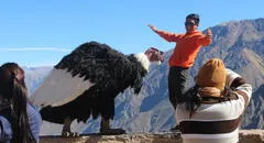 ¿A dónde viajar en Fiestas Patrias? 5 destinos del Perú que debes visitar en julio