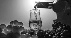 El pisco entre las PEORES bebidas alcohólicas del mundo, según Taste Atlas