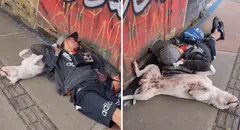 Perrito se queda dormido junto con su dueño en plena calle: “Eso es ser amigos”