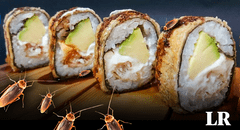 Clausuran local de makis infestado de cucarachas en Pueblo Libre