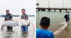 Pez remo de 3 metros de largo apareció en las costas de Punta Sal en Tumbes