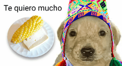 Choclo con queso dentro de los mejores platos del mundo a base del lácteo, según Taste Atlas